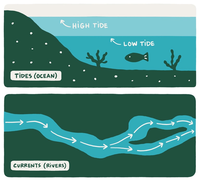 An illustration of tides (ocean) versus currents (river)