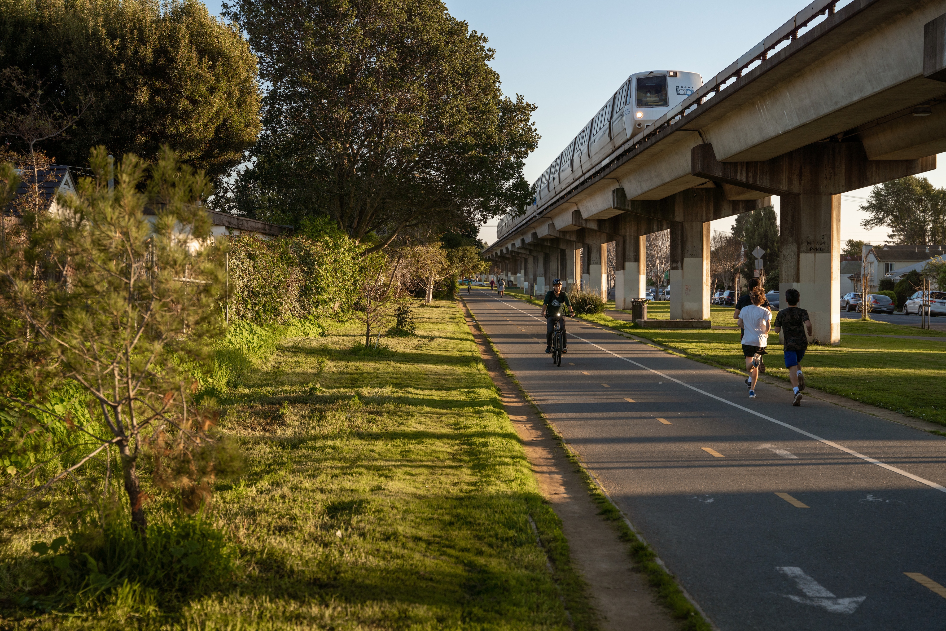 A public transit line runs through a scenic tree lined path enjoyed by bikers and joggers.