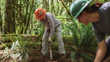 Two smiling people wearing hard hats and work gloves, surrounded by large ferns, use hand held equipment to perform trail maintenance in the Washington forest