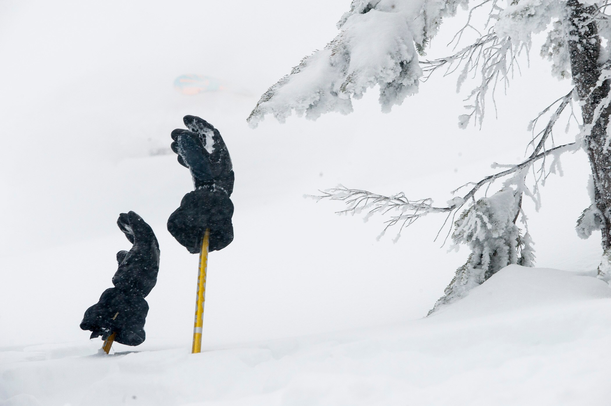 A pair of gloves stuck onto poles above the snow