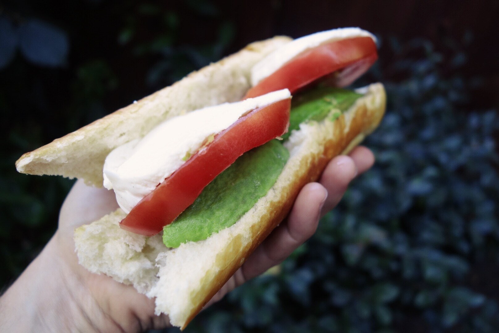 Caprese with Avocado