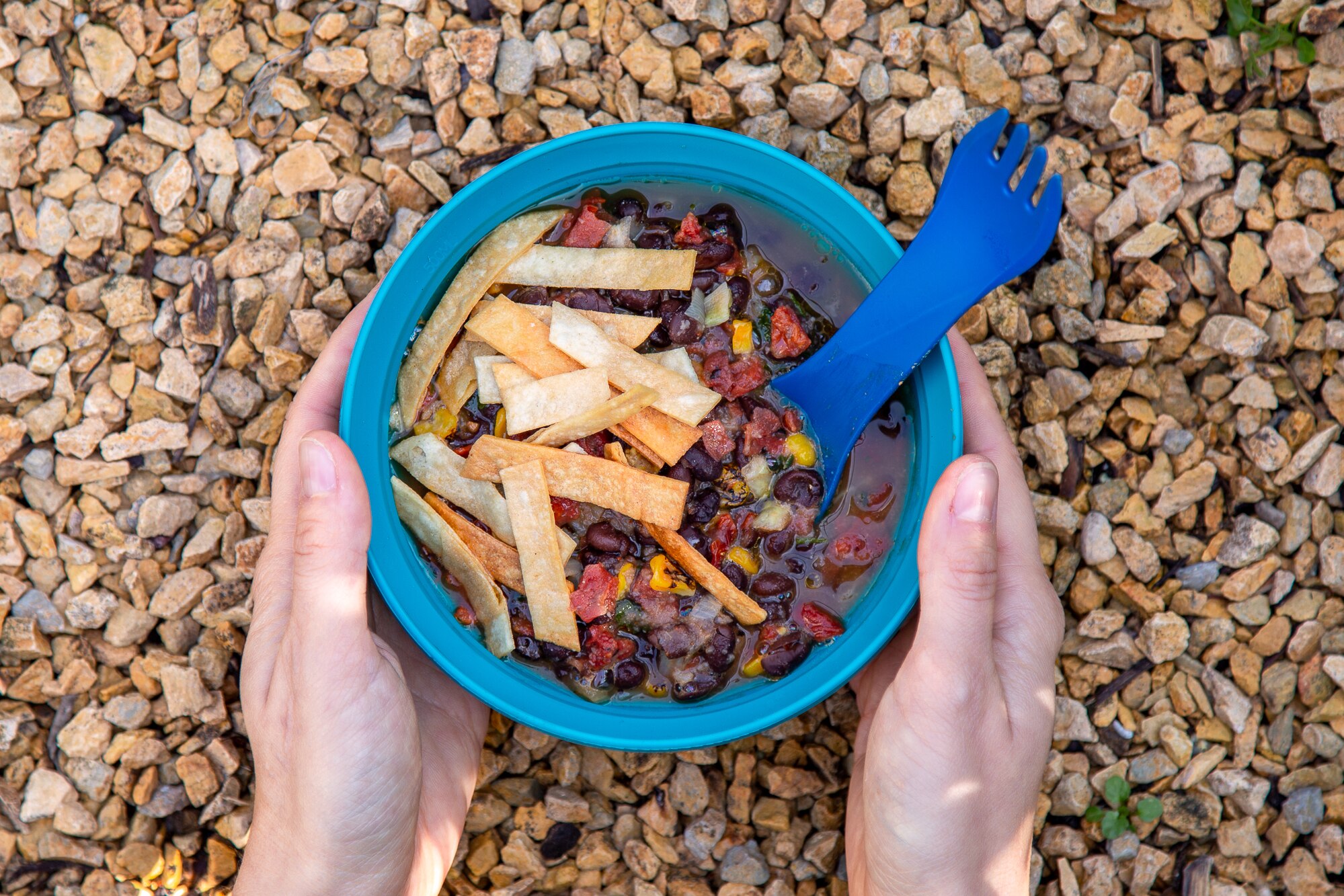 Vegan tortilla soup ready to eat