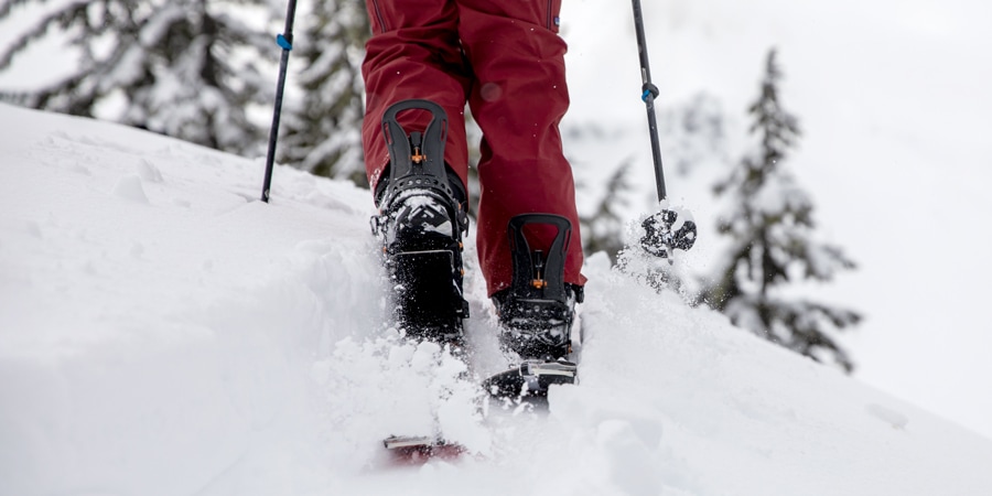 A ground level shot of splitboard binding highbacks of a splitboarder traveling uphill on splitboard skis