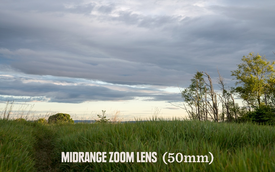 A photo of trees and grass taken with a midrange zoom lens