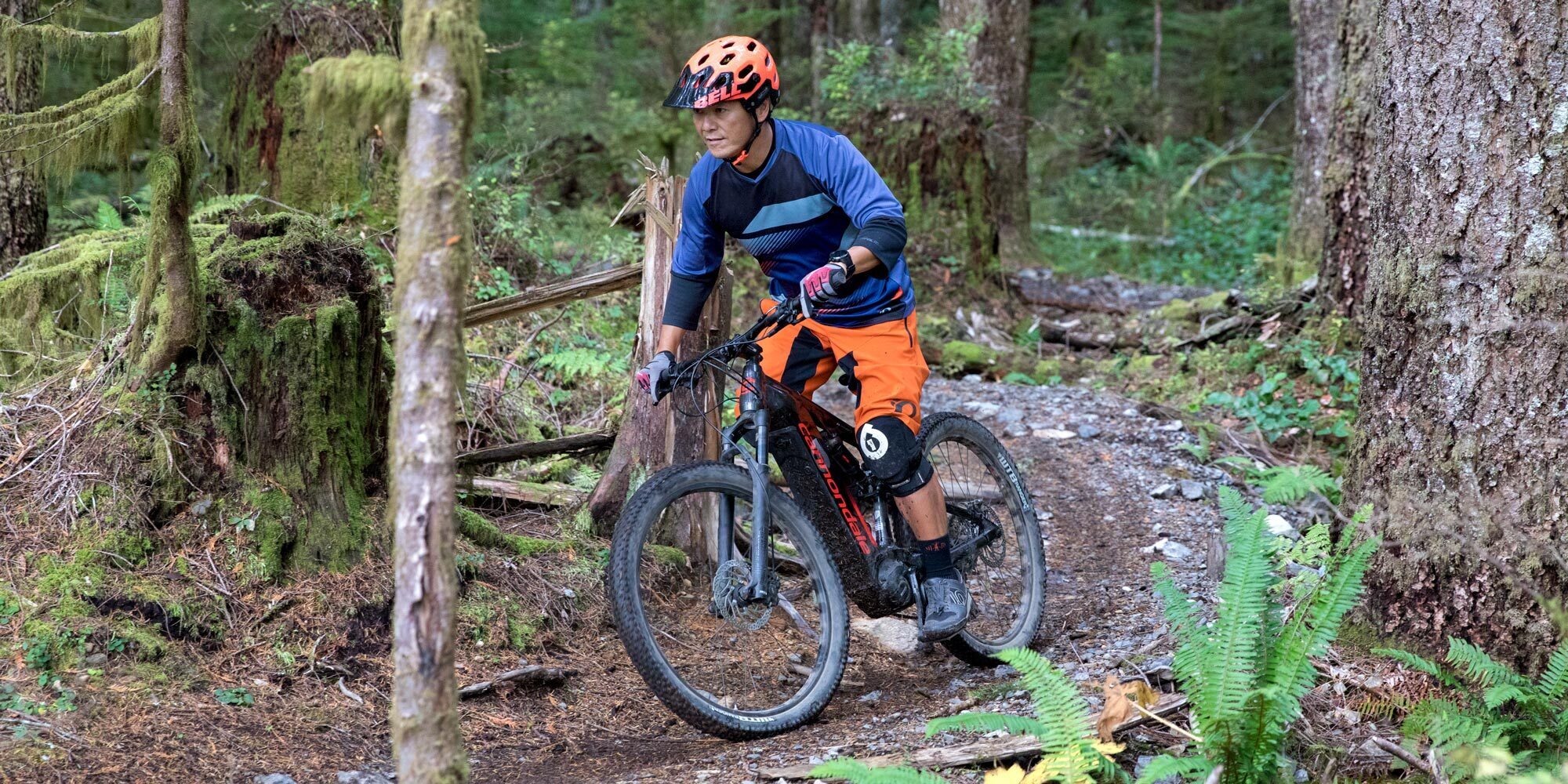 A mountain biker riding an electric mountain bike on a trail in a mossy forest