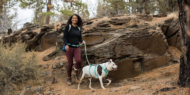 A person walks their white dog with brown spots, who is wearing a blue harness.