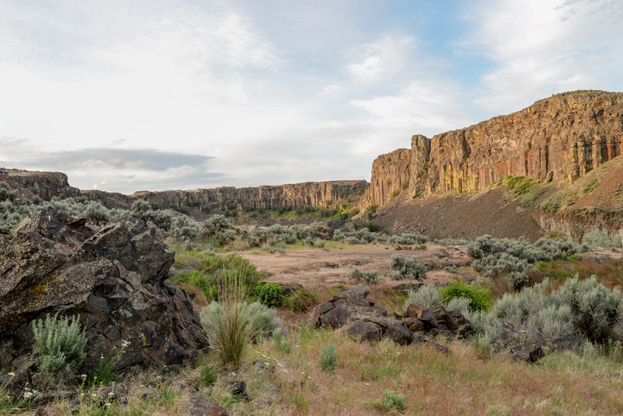 A desert landscape bathed in early morning light