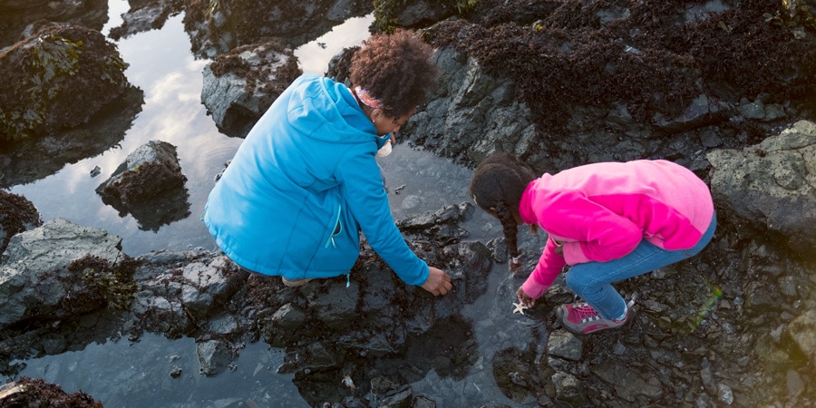 a parent and child playing in the tidepools at low tide