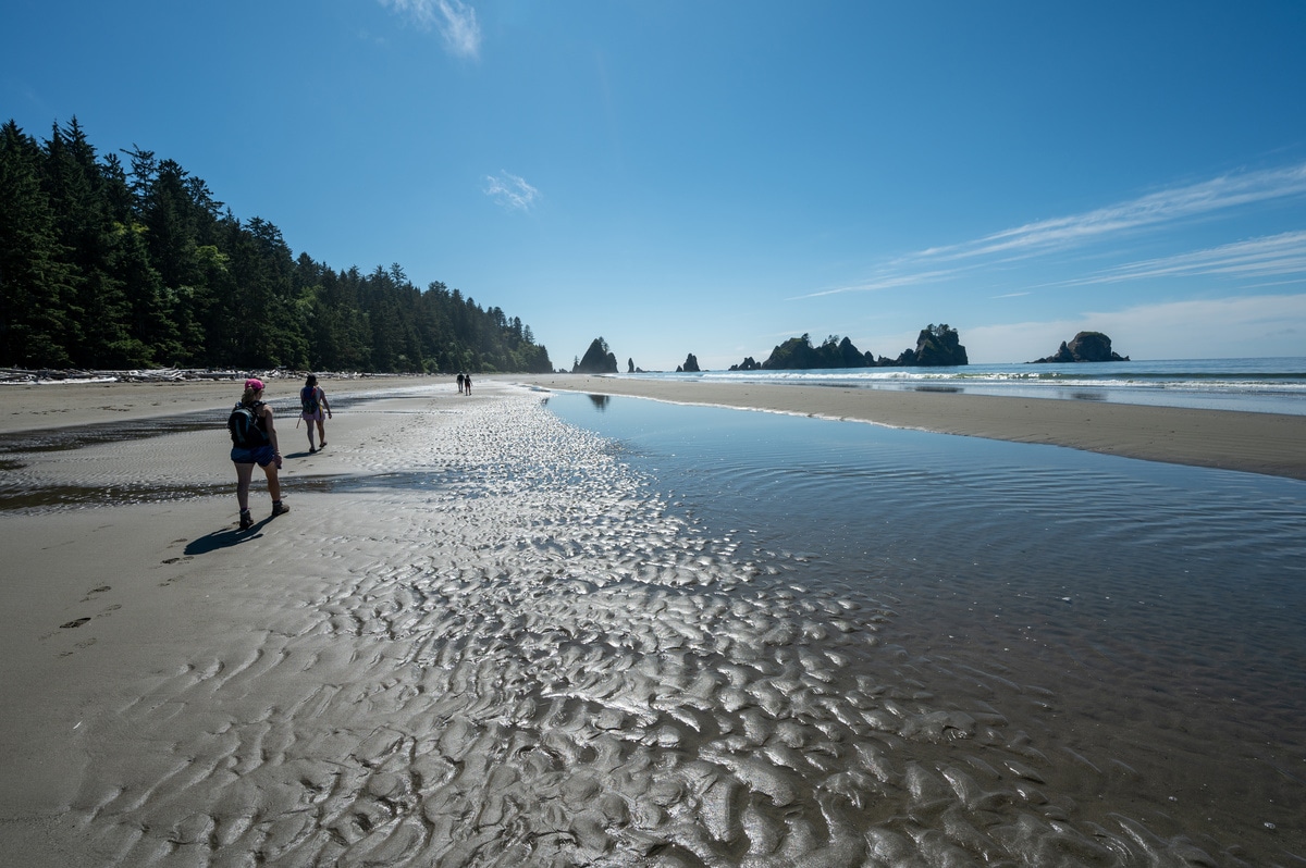 Explore sea stacks, tide pools, and the driftwood-adorned shores of Olympic National Park.