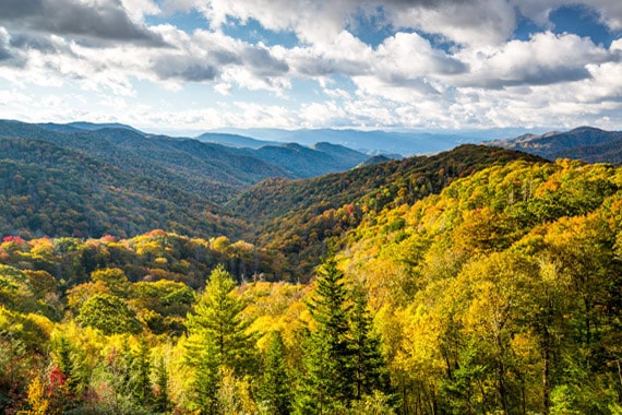 Great Smoky Mountains Adventure | Travel with REI