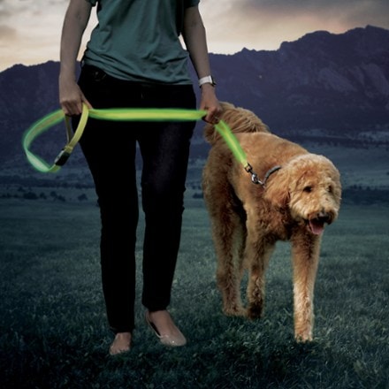 Nite Ize NiteDog Rechargeable LED Dog Leash 9