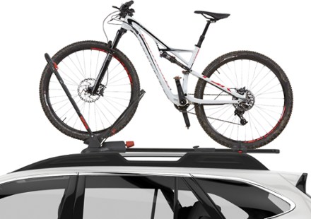 1 bike Roof Bike Racks REI Co op