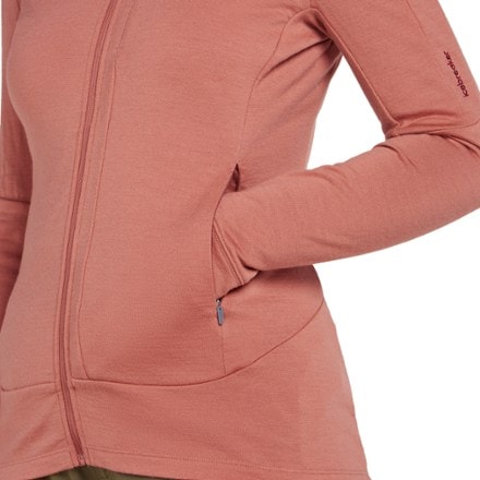 Icebreaker Merino 260 Quantum Long-Sleeve Zip Hoodie - Women's 5