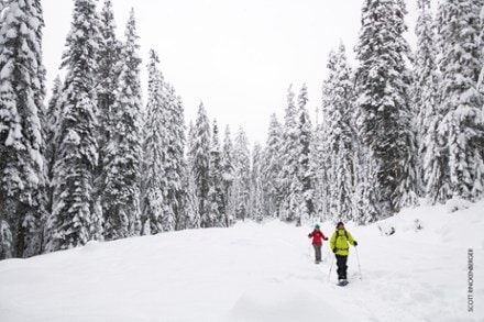 MSR DynaLock Trail Backcountry Poles - Pair 7