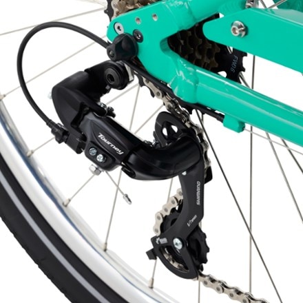 Electra Townie 7D Step-Thru Bike 4