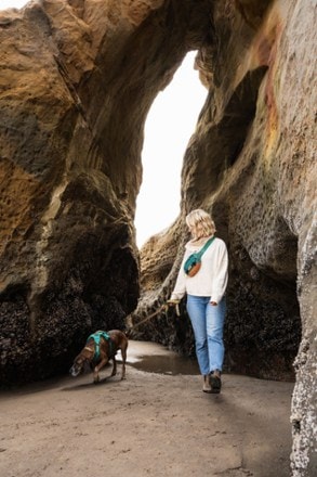 Wilderdog Dog Walking Utility Pack 4