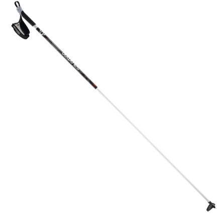 salomon touring poles