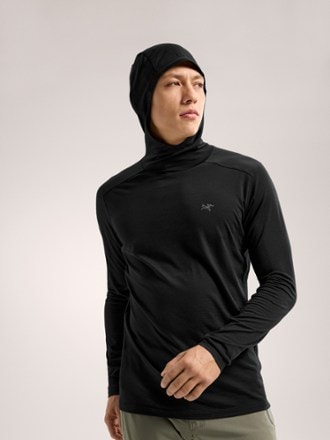 Arc'teryx Ionia Merino Wool Base Layer Hoodie - Men's 4