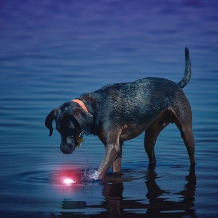 Nite Ize GlowStreak Dog Ball 3