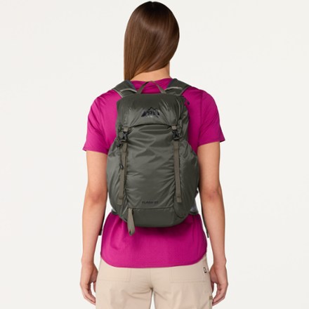 REI Co-op Flash 22 Pack 1