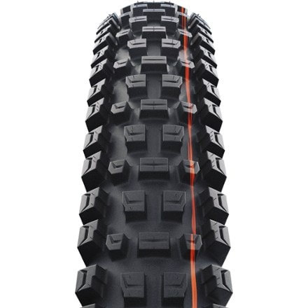 Schwalbe Schwalbe Albert Gravity Pro Radial Tire 2
