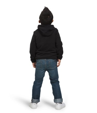 The North Face Glacier Full-Zip Hoodie - Kids' 1