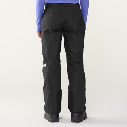 The North Face Freedom Insulated Snow Pants - Women's 3