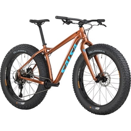 Fat Tire Bikes REI Co op