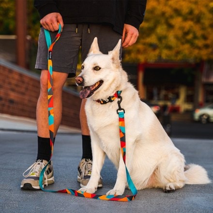 Wolfgang Man & Beast ShatterShapes Leash Collar not included