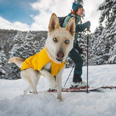 Ruffwear Vert Jacket 3