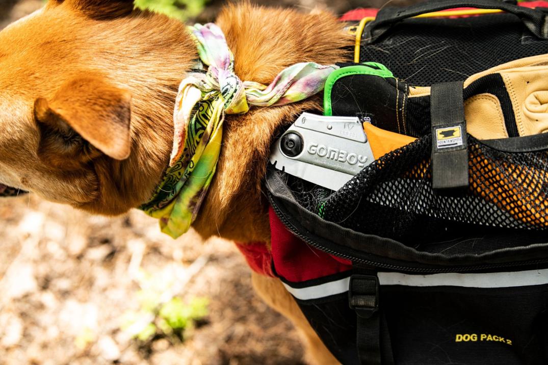 Location Image for Gomboy Curve Folding Hand Saw