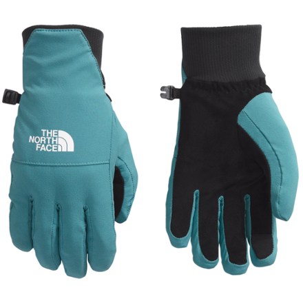 The North Face Shelbe Raschel Etip Gloves - Women's 0