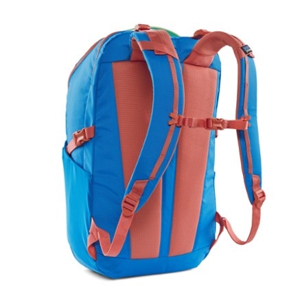 Patagonia Refugio 30L Pack 1