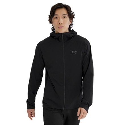 Arc'teryx Atom SL Hoody - Men's 1