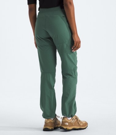 The North Face Basin Pro Pants - Women's 2