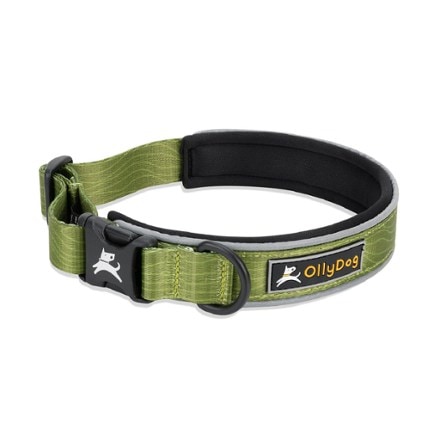 OllyDog Flagstaff Reflective Comfort Adjustable Dog Collar 0