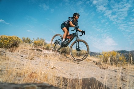 Salsa Wanderosa C Apex Eagle Electric Bike 10