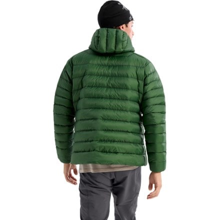 Arc'teryx Cerium Down Hoodie - Men's 2