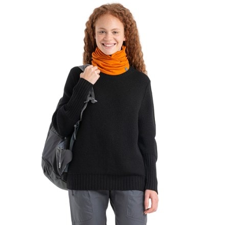 Icebreaker Seevista Funnel Neck Sweater - Women's 0