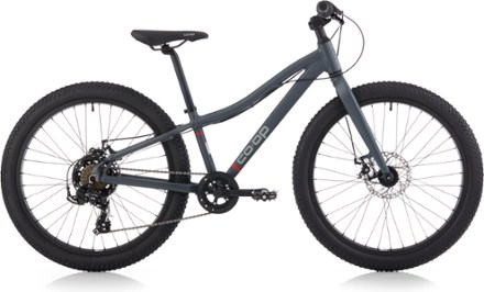 rei co op bike 20