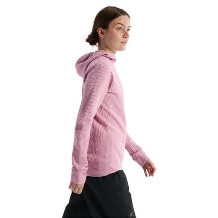 Arc'teryx Hallam Merino Wool Hoody - Women's 4