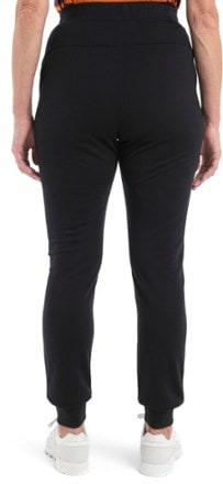 Icebreaker Merino Crush II Pants - Women's 2