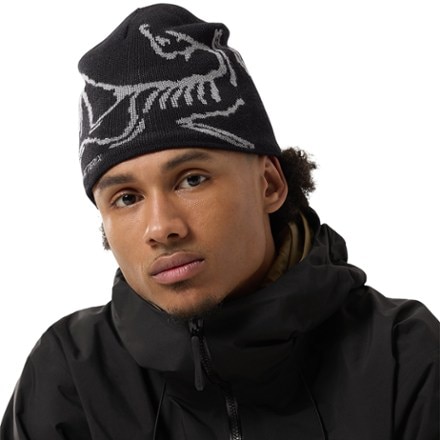 Arc'teryx Bird Head Toque Beanie 1