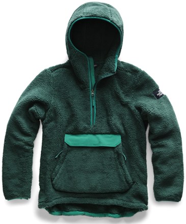 rei north face hoodie