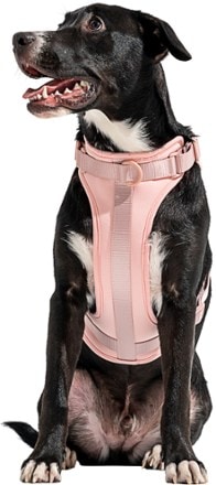 Wild One Dog Harness 7