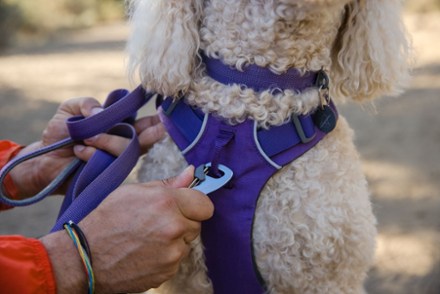 Dog Harnesses REI Co op