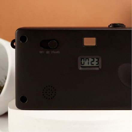 Location Image of color Chestnut Brown