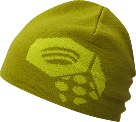 mountain hardwear beanie