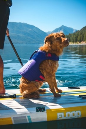 Ruffwear Float Coat Dog Life Jacket 6