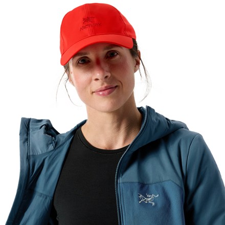 Arc'teryx Bird Word Cap 2